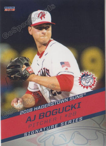 2018 Hagerstown Suns AJ Bogucki