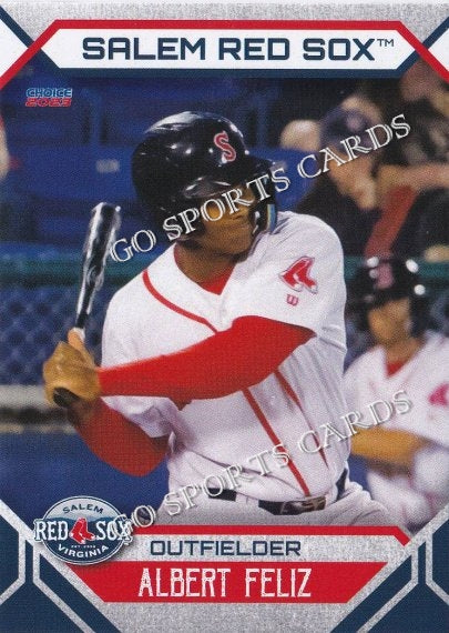 Salem Red Sox - Santiago Espinal, who donned a Salem Red