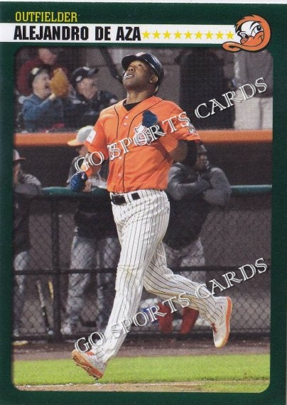 2022 Long Island Ducks Alejandro De Aza