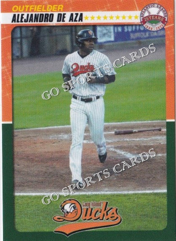 2023 Long Island Ducks Alejandro De Aza