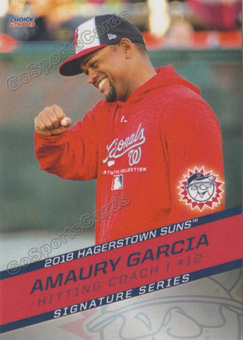 2018 Hagerstown Suns Amaury Garcia