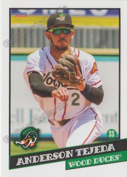 2019 Down East Wood Ducks Anderson Tejeda