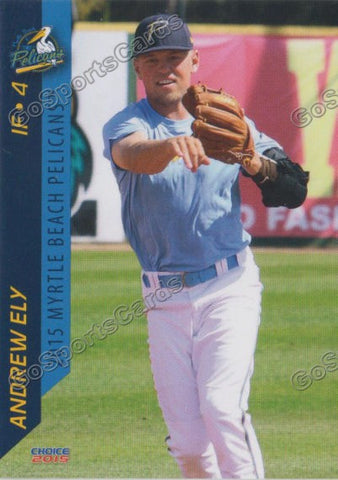 2015 Myrtle Beach Pelicans Andrew Ely