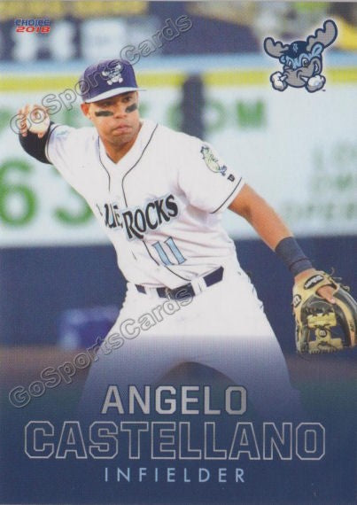 2018 Wilmington Blue Rocks Angelo Castellano