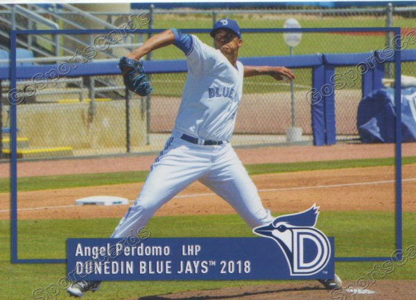 2018 Dunedin Blue Jays Angel Perdomo