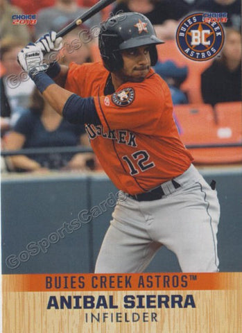 2018 Buies Creek Astros Anibal Sierra