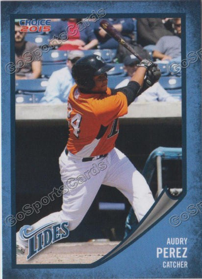 2015 Norfolk Tides Audry Perez