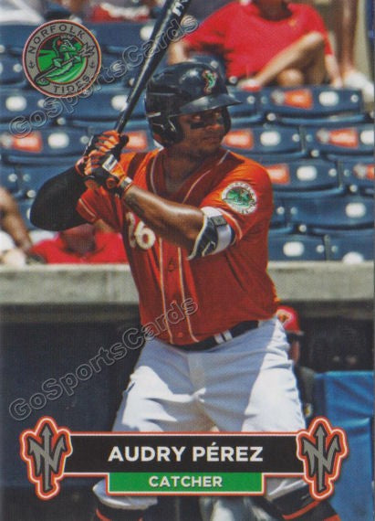 2018 Norfolk Tides Audry Perez