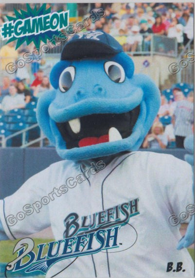 Bridgeport Bluefish All Baseball Cards