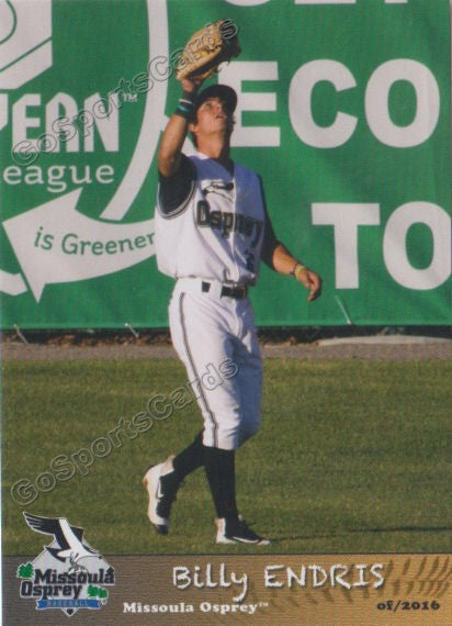 2016 Missoula Osprey Billy Endris