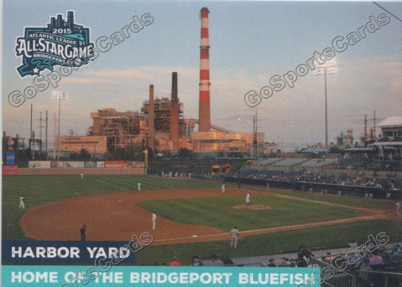 Bridgeport Bluefish Baseball Apparel Store