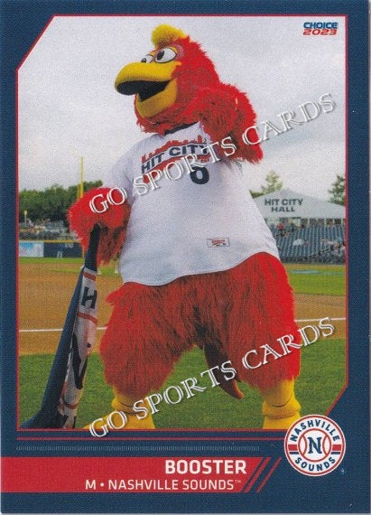 Nashville Sounds Minor League Baseball Booster Mascot 8x10-48x36 Photo  Print 50
