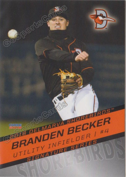 2018 Delmarva Shorebirds Branden Becker