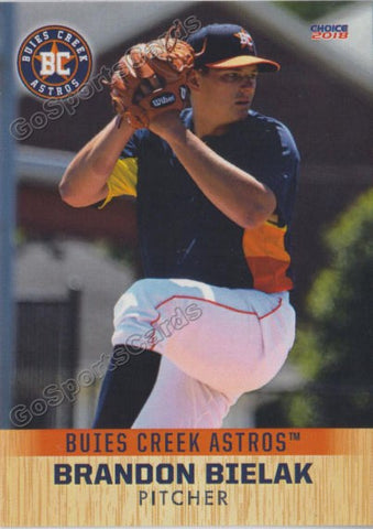 2018 Buies Creek Astros Brandon Bielak