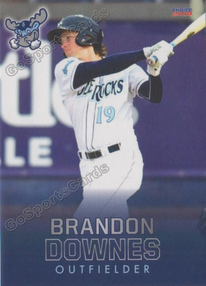 2018 Wilmington Blue Rocks Brandon Downes