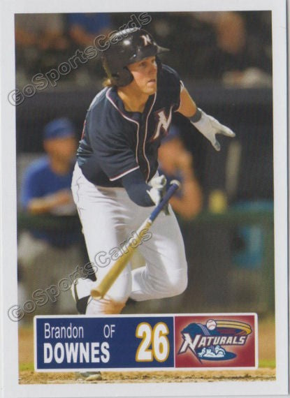 2018 Northwest Arkansas Naturals Brandon Downes