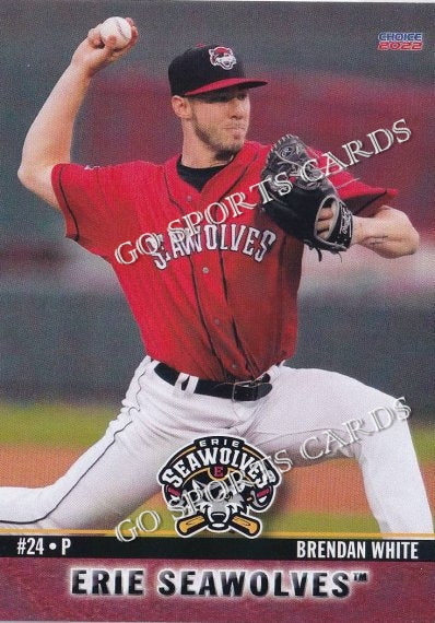 2022 Erie SeaWolves Brendan White