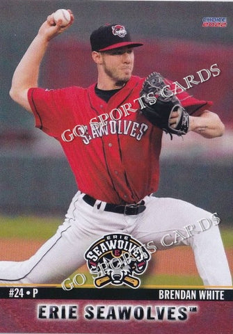 2022 Erie SeaWolves Brendan White