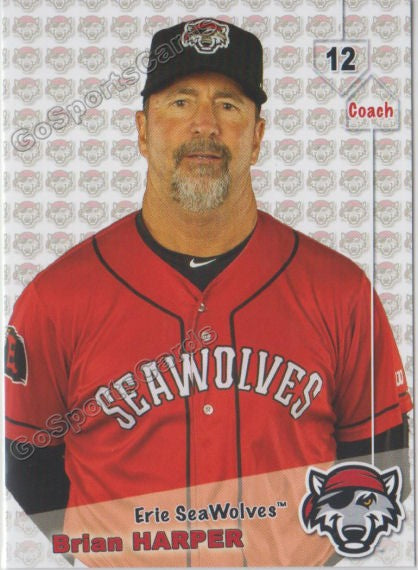 2019 Erie SeaWolves Brian Harper