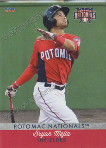 2018 Potomac Nationals Bryan Mejia