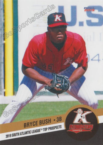 2019 South Atlantic League Top Prospects Bryce Bush