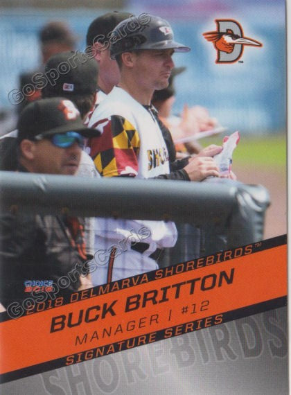 2018 Delmarva Shorebirds Buck Britton