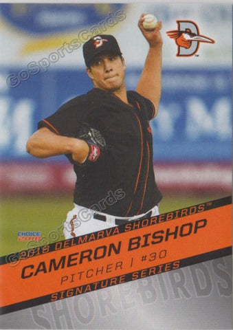 2018 Delmarva Shorebirds Cameron Bishop