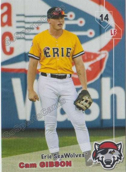 2019 Erie SeaWolves Cam Gibson