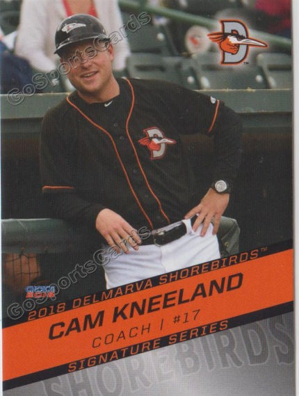 2018 Delmarva Shorebirds Cam Kneeland