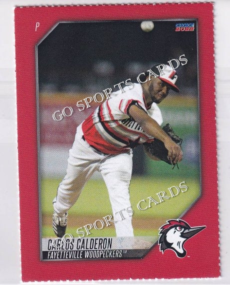 2022 Fayetteville Woodpeckers SGA Carlos Calderon