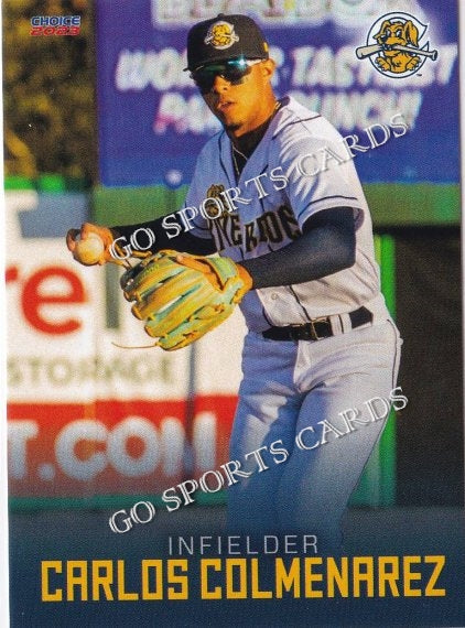 2023 Charleston RiverDogs Carlos Colmenarez