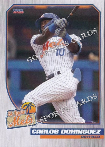 2022 St Lucie Mets Carlos Dominguez