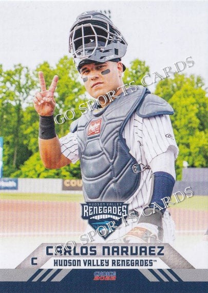 2022 Hudson Valley Renegades Carlos Narvaez