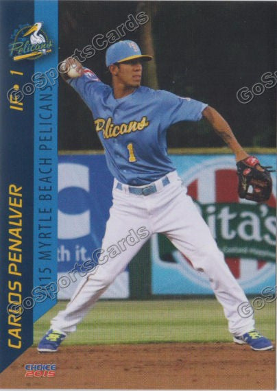 2015 Myrtle Beach Pelicans Carlos Penalver