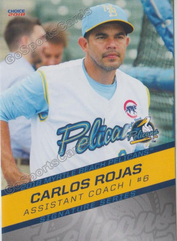 2018 Myrtle Beach Pelicans Carlos Rojas