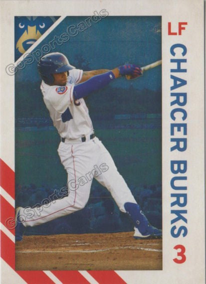 2019 Tennessee Smokies Charcer Burks