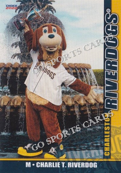 2015 Quad Cities River Bandits Rascal Mascot – Go Sports Cards