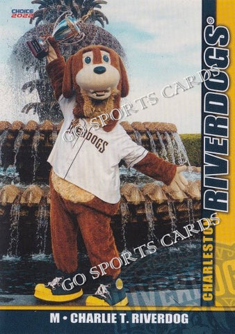 2022 Charleston RiverDogs Charlie T Riverdog Mascot