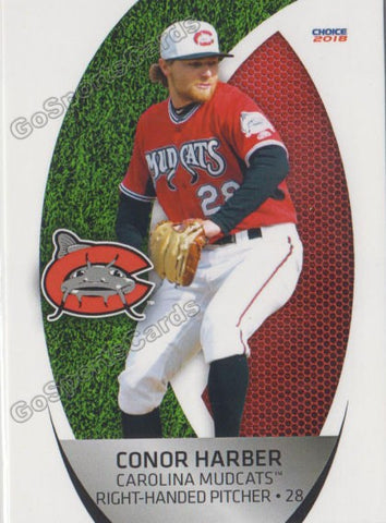 2018 Carolina Mudcats Conor Harber