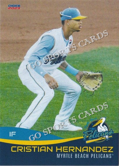 2023 Myrtle Beach Pelicans Cristian Hernandez