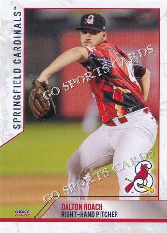 2022 Springfield Cardinals Dalton Roach