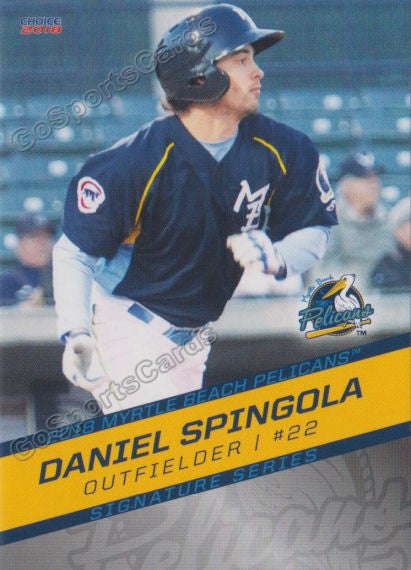 2018 Myrtle Beach Pelicans Daniel Spingola