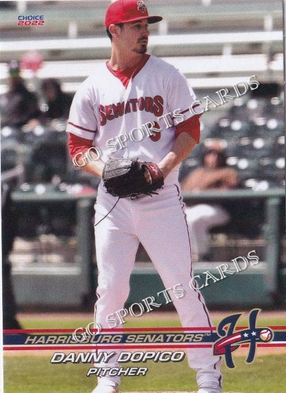 2022 Harrisburg Senators Danny Dopico