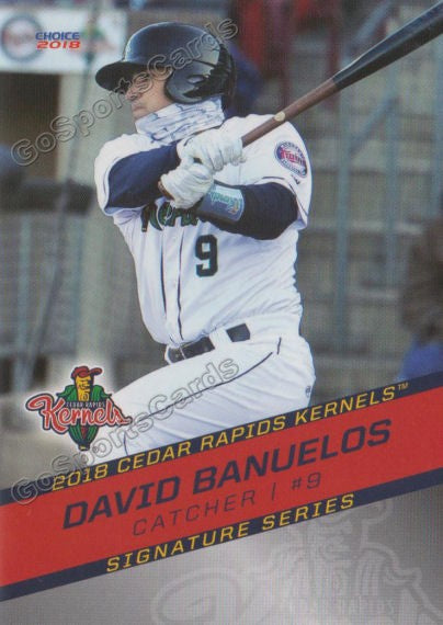 2018 Cedar Rapids Kernels David Banuelos