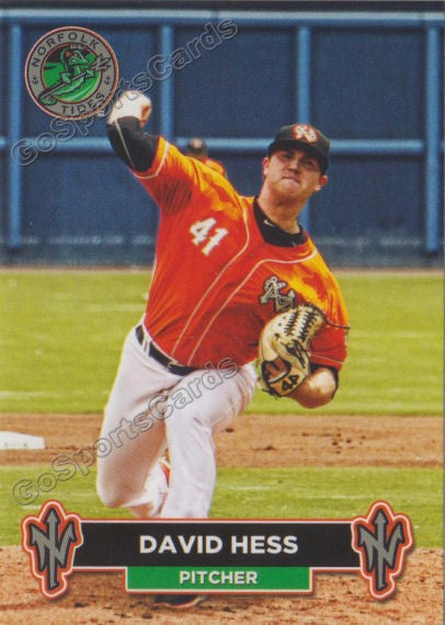 2018 Norfolk Tides David Hess