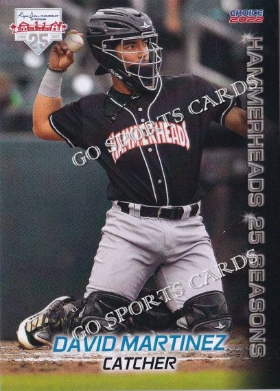 2022 Jupiter Hammerheads David Martinez