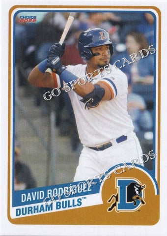 2022 Durham Bulls David Rodriguez