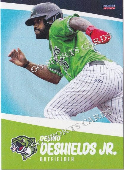 2022 Gwinnett Stripers Delino Deshields Jr