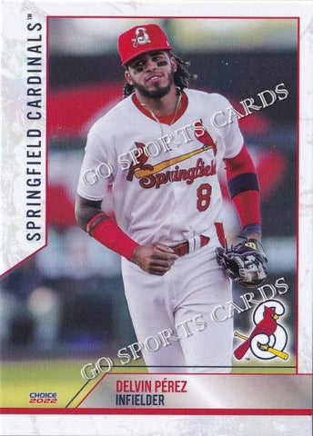 2022 Springfield Cardinals Delvin Perez