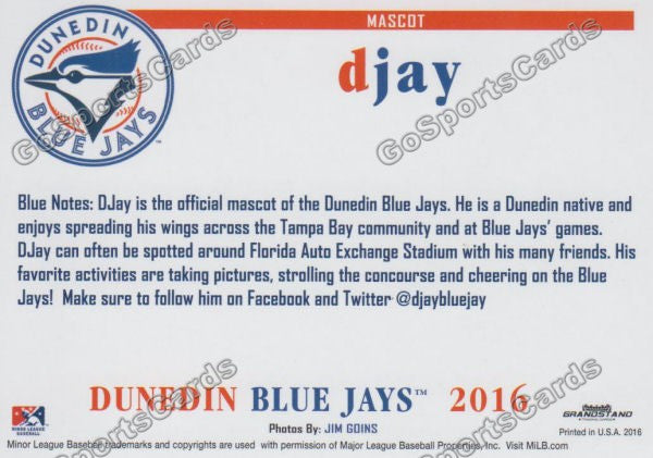 2016 Dunedin Blue Jays DJay Mascot  Back of Card